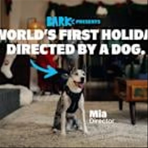 BARK Shifts Creative Control to the Real Holiday Experts: Dogs
