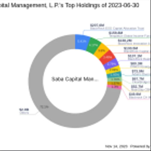 Saba Capital Management, L.P. Reduces Stake in Tortoise Energy Independence Fund, Inc.