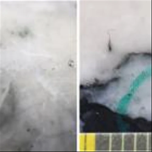 New Found Intercepts 36 g/t Au Over 16.7m, 34 g/t Au Over 14.7m, 43 g/t Au Over 7.35m & 41 g/t Au Over 5.85m at Iceberg