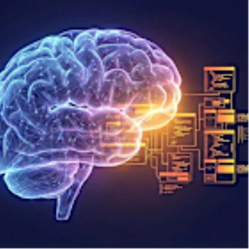 Is AI Really Eating Software? A Wall Street Veteran Says No—Here’s Why