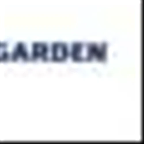 THE MSG FAMILY OF COMPANIES ANNOUNCE INTEGRATED MARKETING PARTNERSHIP WITH LIQUID DEATH