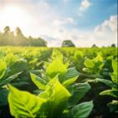 Universal Corporation (UVV): Strategic Positioning in the Tobacco Industry