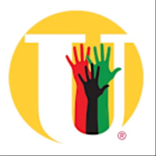 What To Expect From Unisys Corp (UIS) Q3 2025 Earnings