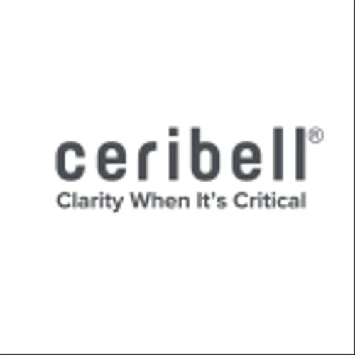 Ceribell Reports First Quarter 2025 Financial Results