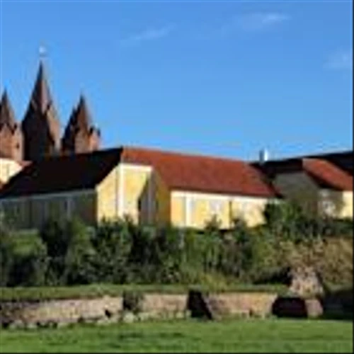 Denmark's 'Novo Town' holds its breath as Wegovy fever fades