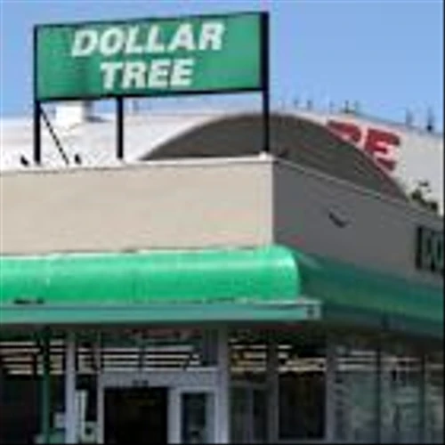 Dollar Tree Stock Is S&P 500’s Best Today. It Gets an Upgrade.