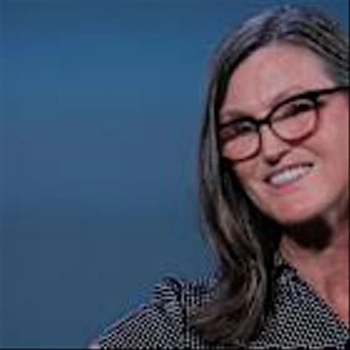 What are the top holdings of Cathie Wood's ARK Innovation ETF?
