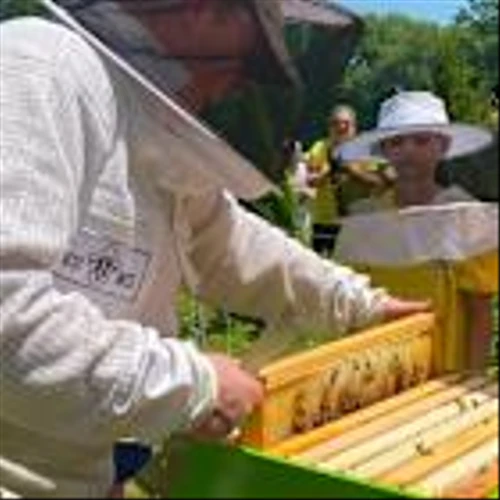 How to Get Workers Back to the Office? Fresh Air, Bees, and Farmers Markets.
