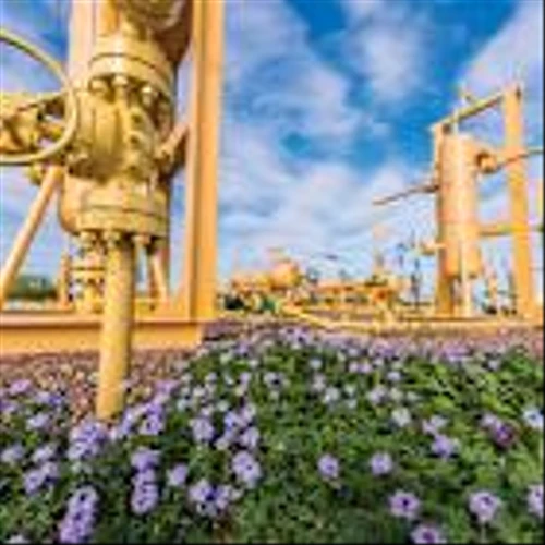 SM Energy Marries Wildcatting and Analytics in the Oil Patch
