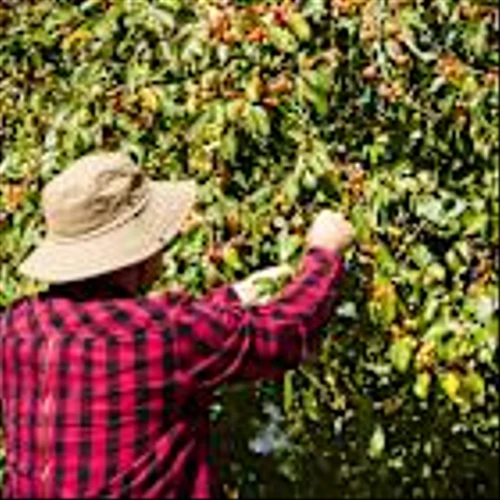 The Chefs’ Warehouse, Inc. (CHEF) Reports Q4 revenue of $1.14B Versus Consensus of $1.1B