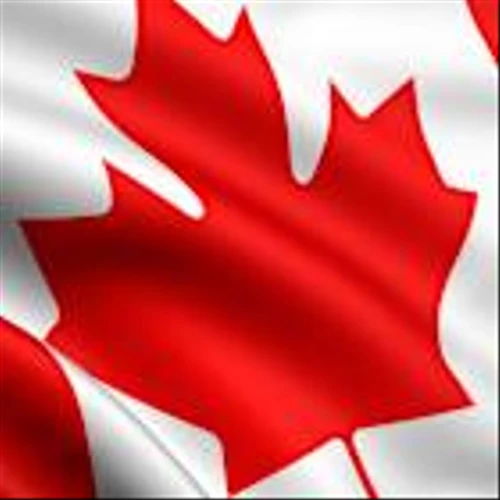 Trade War Sends These Canada Stocks Soaring