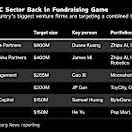 China Neuralink Rival Seeks Pre-IPO Funds at $1.3 Billion Value