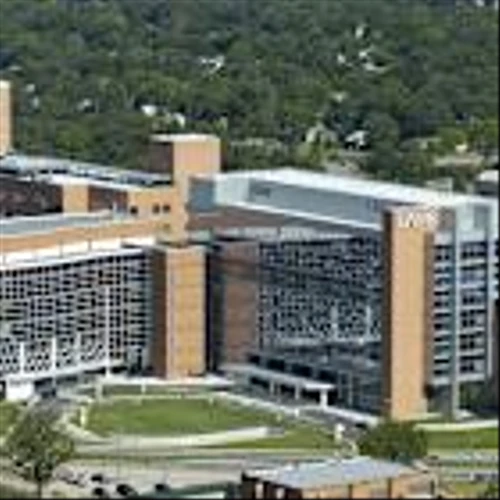 Medical Properties Trust, Inc. (MPW): A Bull Case Theory