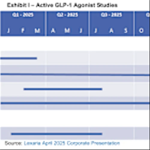 LEXX: Second Quarter Results