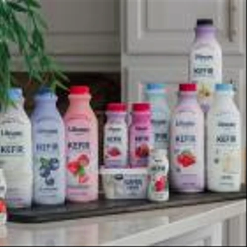 Danone accuses Lifeway of allowing its CEO to engage in ‘self-dealing’ and ‘value destruction’