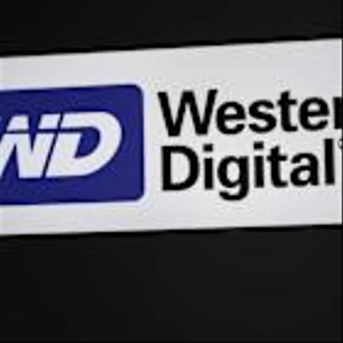 Western Digital Stock Soars 280% This Year. Is WDC Worth Chasing Now?