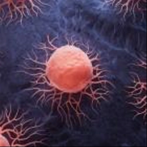 Repare Therapeutics doses first subject in Phase I solid tumour trial