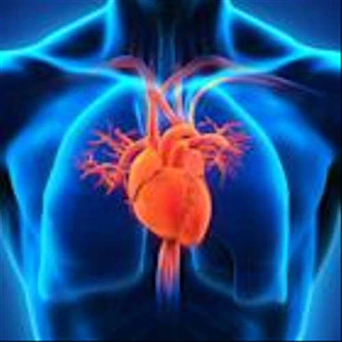 Can CYTK Clinch a Potential FDA Nod for Its Cardiovascular Drug?