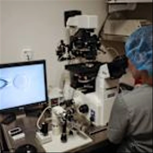 Trump Strikes Deal With Merck KGaA on Tariffs, IVF Costs