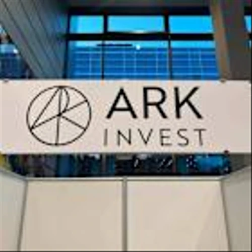 Cathie Wood Bets $19 Million on 5 Beaten-Down Stocks