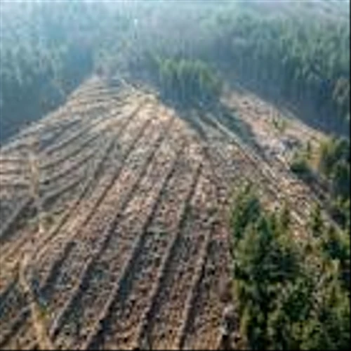 This Rare Earths Stock Is Expanding Its Footprint. Should You Buy Shares Now?