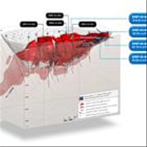 NexMetals Drills 219 Metres of 1.03% CuEq, Including 157 Metres of 1.21% CuEq Demonstrating the Scale of Mineralization and Expansion Potential at Selkirk