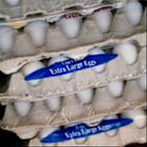 First Watch Stock Slips as Executives Warn of Egg Costs Hurting Margins