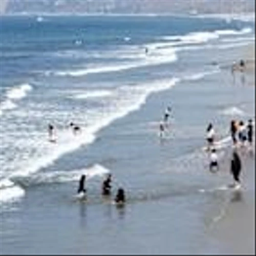 Popular beach city known for pro-crypto dining declares fiscal distress