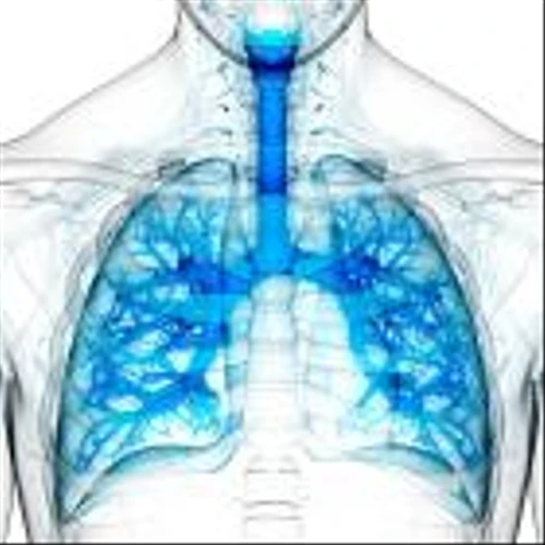 FDA go-ahead for Verona Ohtuvayre transforms US COPD exacerbator market