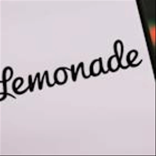 Lemonade CEO talks about insurance company's 'best quarter' ever
