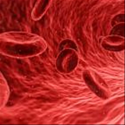 What Makes Vaxcyte (PCVX) So Attractive