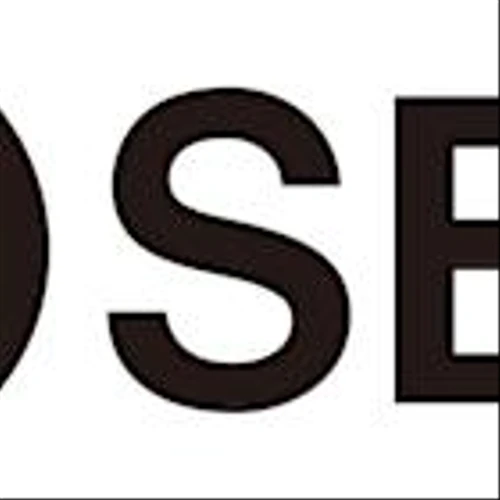 SES AI Signs Term Sheet to Establish Joint Venture to Commercially Supply Materials Discovered by Molecular Universe