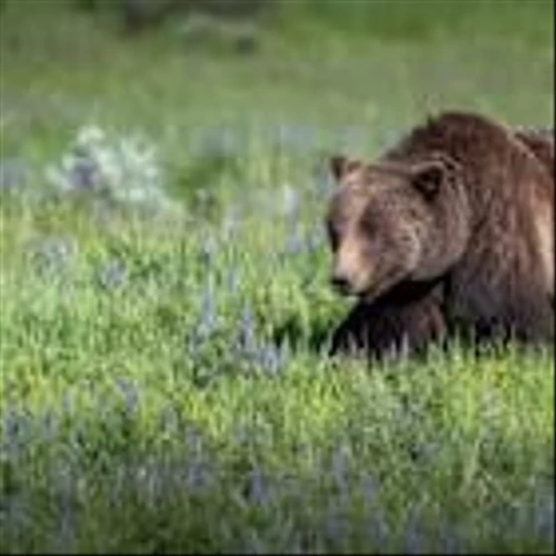 Private equity stocks down 30-40% in three months, bigger worry than geopolitical risk