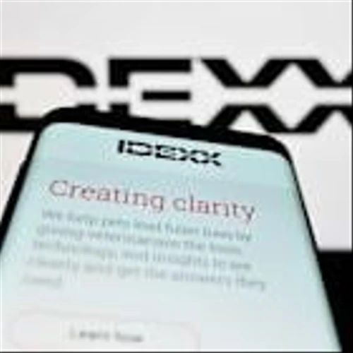 Is IDEXX Laboratories Stock Outperforming the S&P 500?