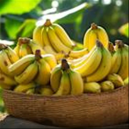 Is Fresh Del Monte Produce (FDP) the Best Farmland and Agriculture Stock to Buy Now?