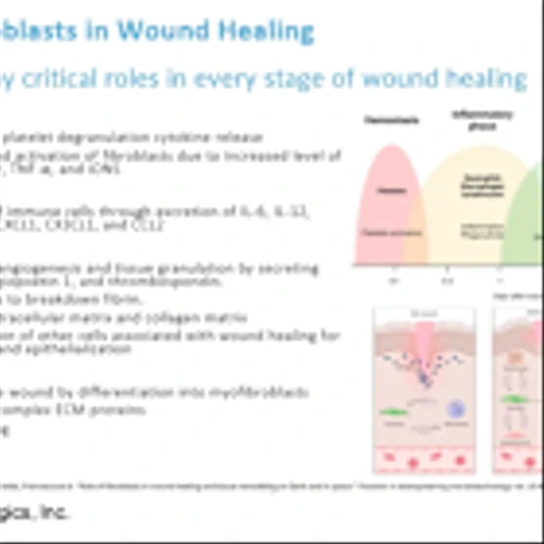 FBLG: Phase 1/2 Trial in Diabetic Foot Ulcers to Initiate in 2Q25…