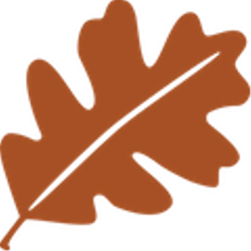 Oaktree Specialty Lending Corp (OCSL) Q4 2024 Earnings Report Preview: What To Look For