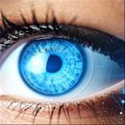 Palantir, Shopify Peer Attracting Eyeballs – And Top Funds. Here's Why.