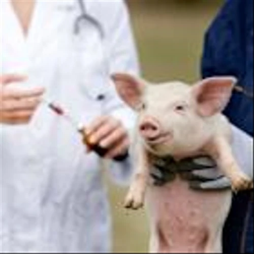 Piper Sandler Flags Near-Term Uncertainty for Zoetis (ZTS) Despite Long-Term Appeal