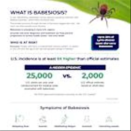 60 Degrees Pharmaceuticals Announces No Detection of Babesia Infection in First Patient Following Treatment with Tafenoquine in Relapsing Babesiosis Study