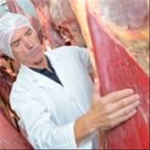 ICL Group (ICL) Reports $7.15B Annual Sales with 6% Growth in Fourth Quarter 2025