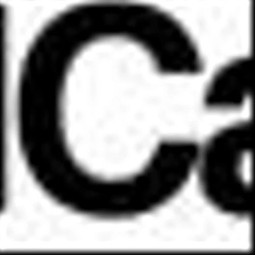 Steven Berman, CN Energy Group, is Featured in an Interview with SmallCapsDaily