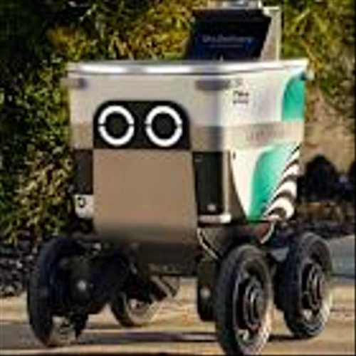 Serve Robotics Stock Falls on Sale Miss, Adding to Recent Pain