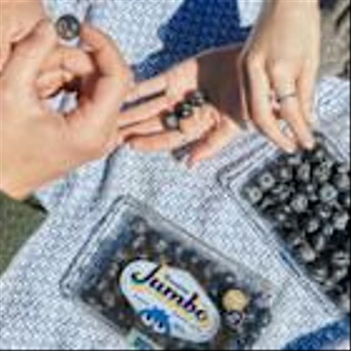 Fruitist Closes $150 Million in Funding Led by J.P. Morgan Asset Management to Power Global Expansion and Meet Surging Demand for Healthy Snacking