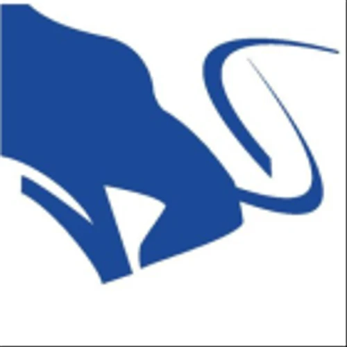 Stag Industrial Inc (STAG) Q4 2024 Earnings Call Highlights: Strong Leasing Activity and Record ...