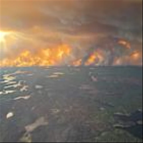 Canadian Wildfires Force Oilsands Evacuations, Stop Oil Flows