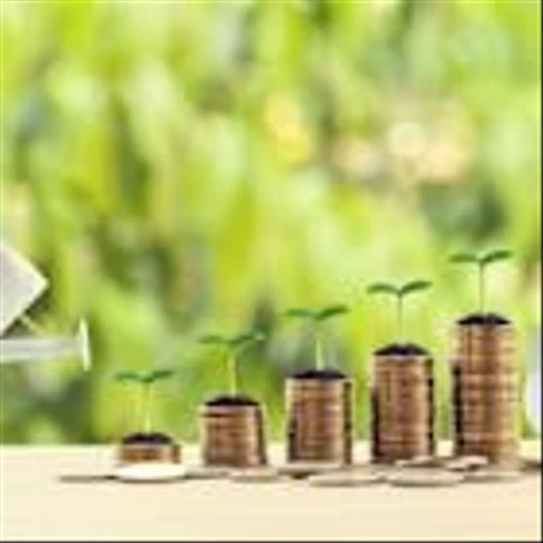 2 Undervalued, High-Quality Companies to Buy Now and Hold Forever