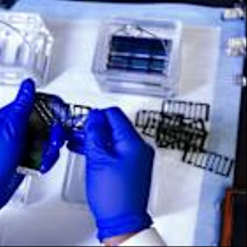 Beyond Air Inc (XAIR) Expands Focus on Nitric Oxide Therapies