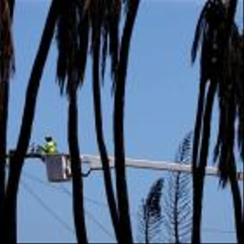 Hawaiian Electric to Settle Maui Wildfire Claims as Part of $4 Billion Deal