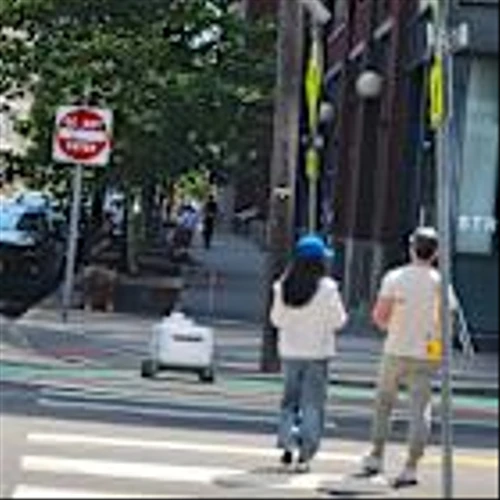 Serve Robotics Inc. (SERV) Gains Analyst Confidence and Expands Reach with DoorDash Partnership